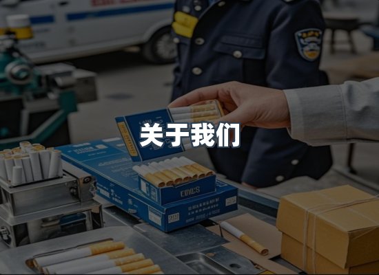 关于我们